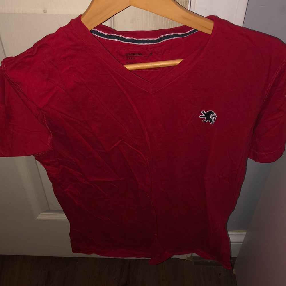 Men’s express v neck
